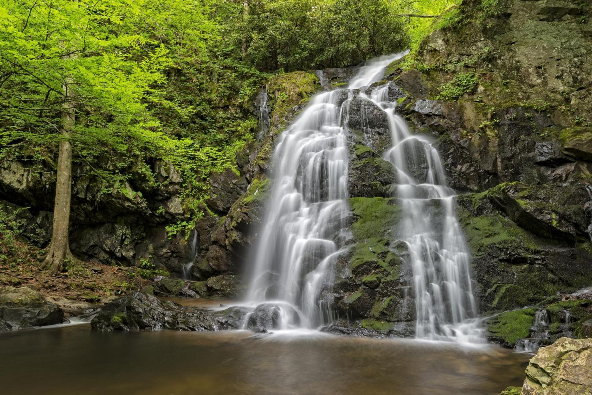 Hidden Creek, Pool Table, Hot Tub, 1089 Free Tickets Each Paid Day, Dollywood And More Gatlinburg Kültér fotó